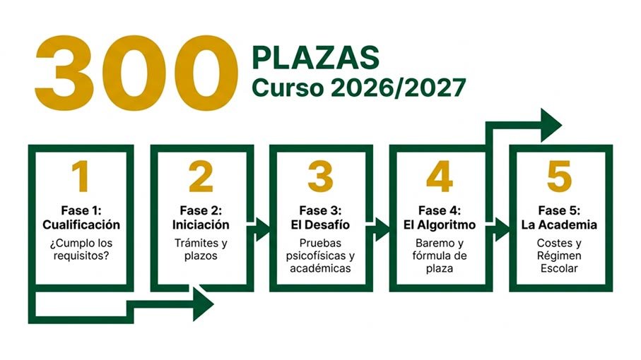Fases del proceso de acceso al Colegio de Guardias Jóvenes 2026