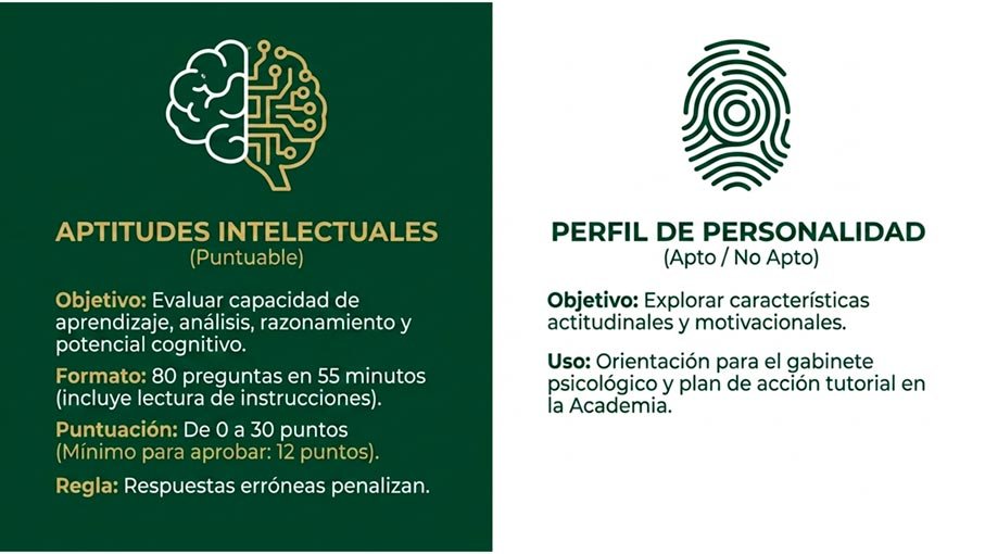 Prueba de aptitudes intelectuales y personalidad
